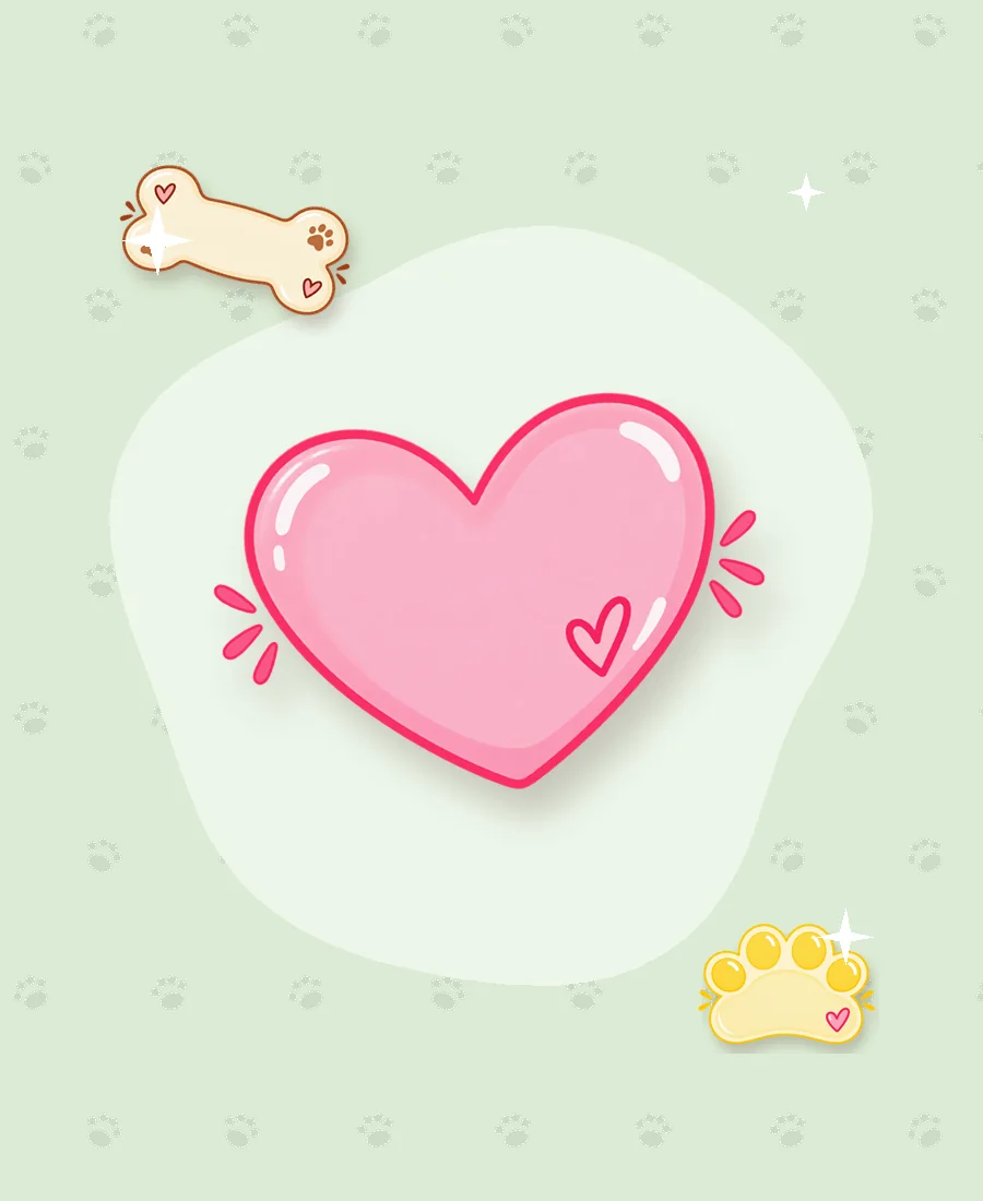 Custom cakes