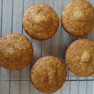 Crunchy Fish Pet Biscuits