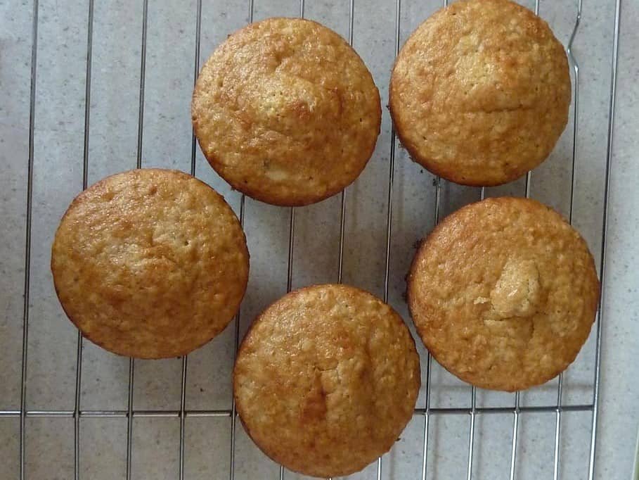 Crunchy Fish Pet Biscuits