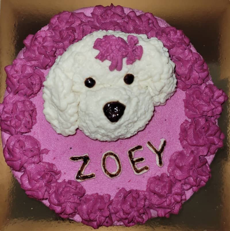 Apple pet cake with pink and purple frosting, a white dog face decoration, and “Zoey” lettering.