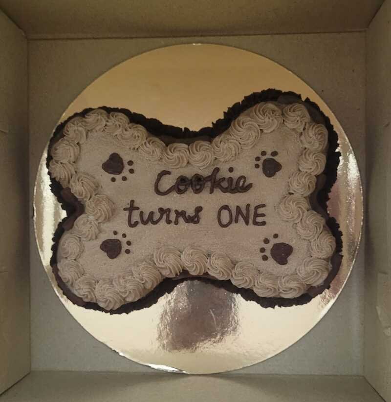 Bone-shaped chicken and pumpkin pet cake with creamy frosting, dark brown border and paw-print accents, personalised with “Cookie turns ONE”.