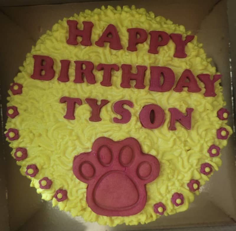 Bright yellow cheese cake with red “Happy Birthday Tyson” lettering, a large red paw-print topper and small paw-shaped accents.