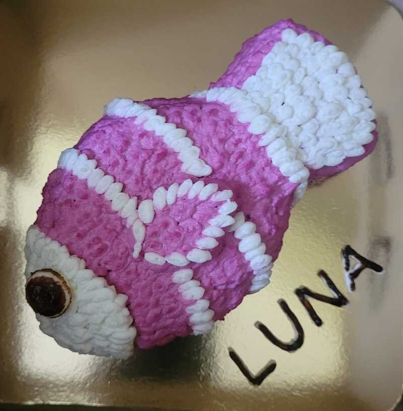 Pink and white fish pet cake with a bone-shaped design and decorative frosting, personalised with “Luna”.