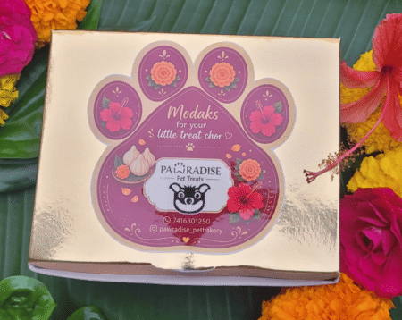 Pet Modak festive gift box with Pawradise packaging and colourful floral decorations.