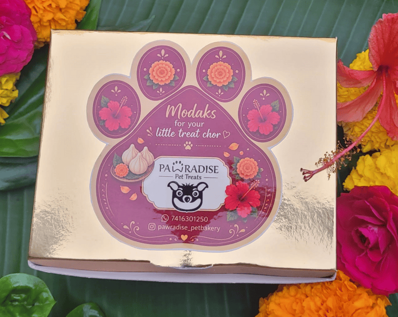 Pet Modak festive gift box with Pawradise packaging and colourful floral decorations.